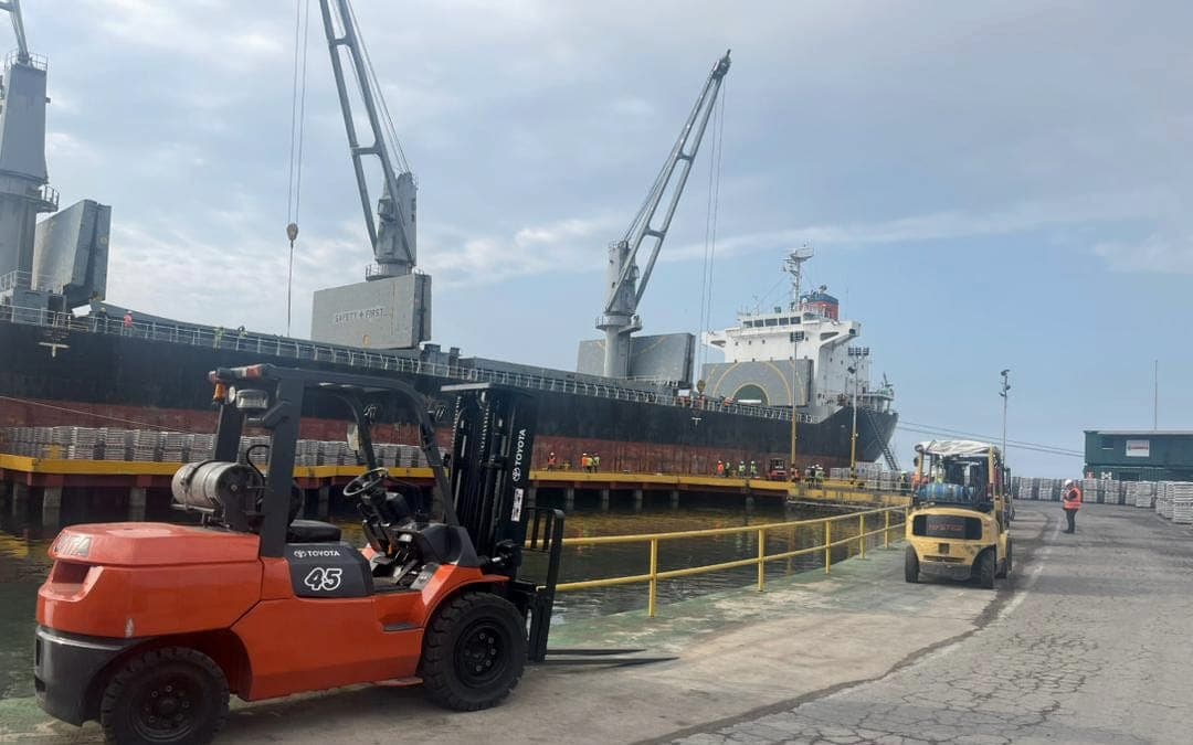 Montacargas movilizando carga paletizada en muelle junto a un buque granelero